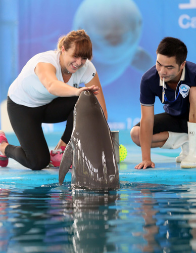 而像越南 而像越南